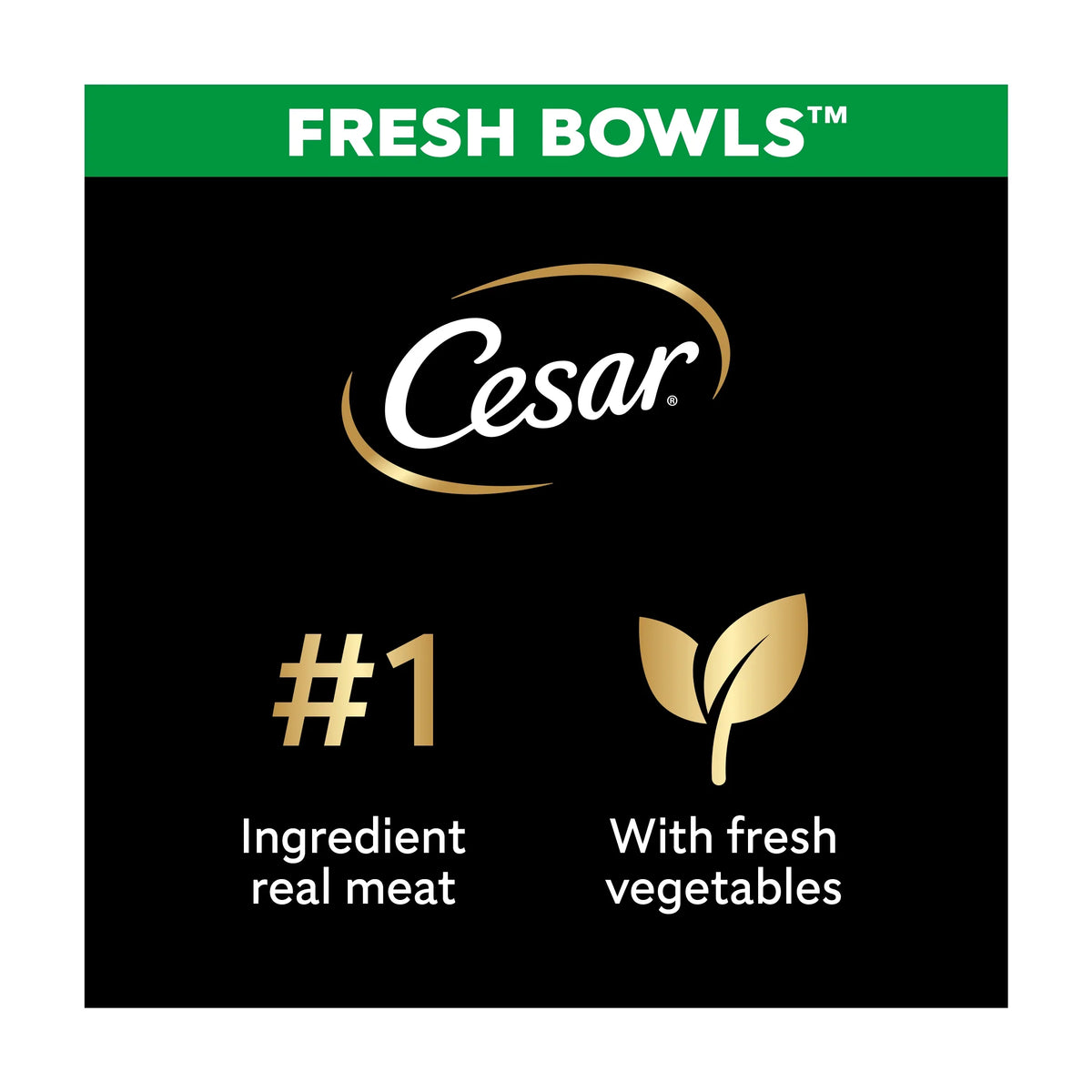 Wet Dog Food Fresh Bowls In Gravy 6 X by Cesar at The British Vault