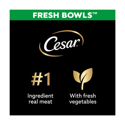 Wet Dog Food Fresh Bowls In Gravy 6 X by Cesar at The British Vault