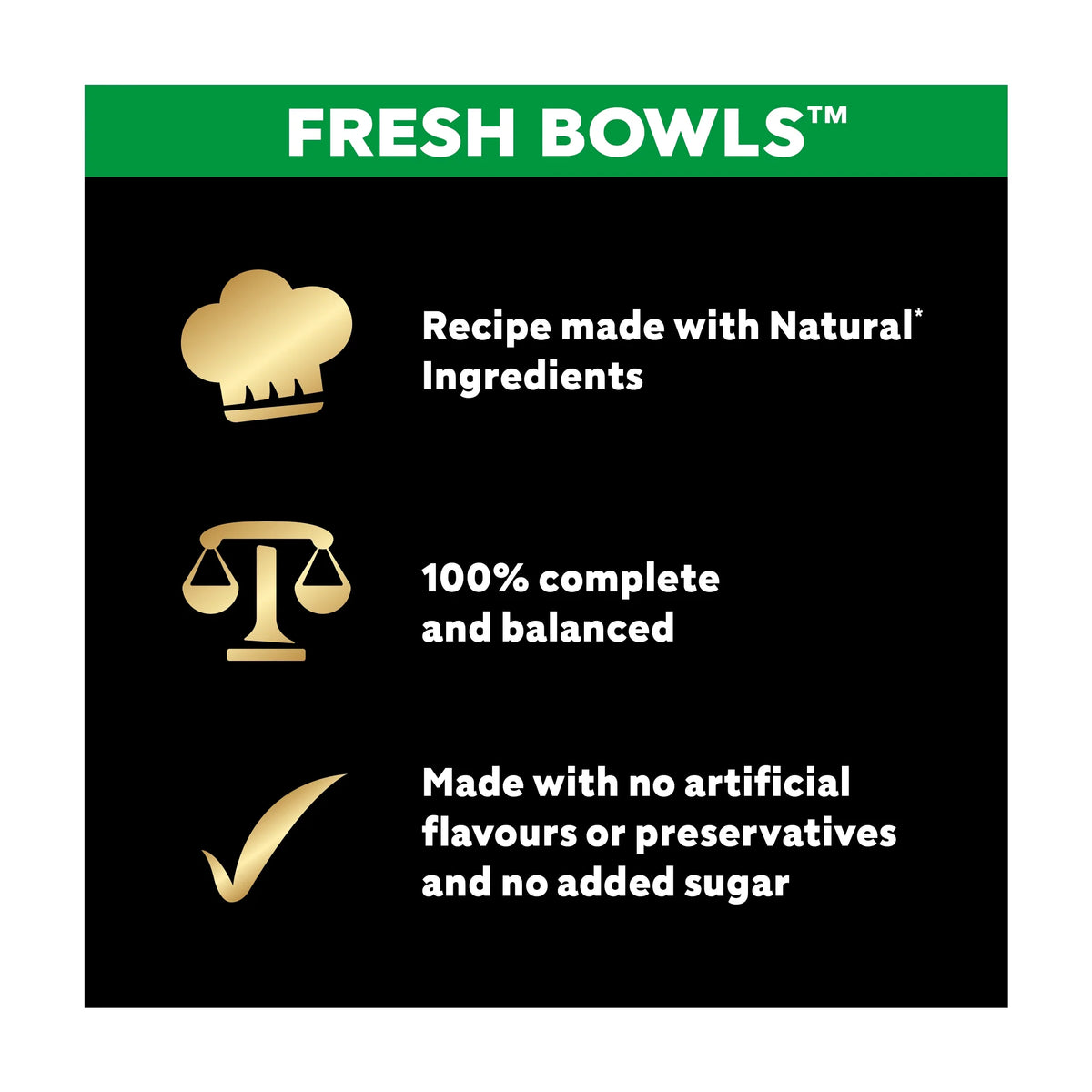 Wet Dog Food Fresh Bowls In Gravy 6 X by Cesar at The British Vault