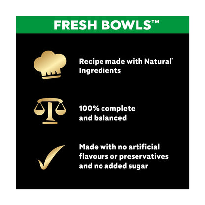 Wet Dog Food Fresh Bowls In Gravy 6 X by Cesar at The British Vault