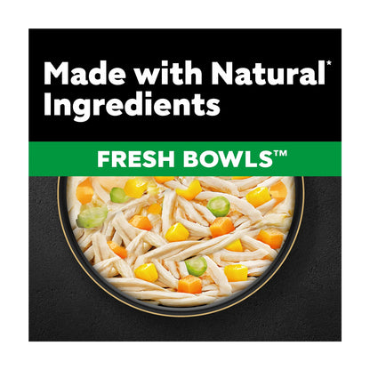 Wet Dog Food Fresh Bowls In Gravy 6 X by Cesar at The British Vault