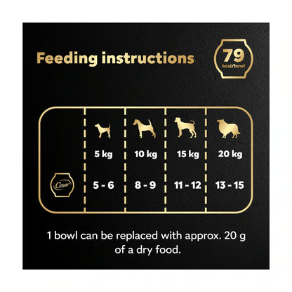 Wet Dog Food Fresh Bowls In Gravy 6 X by Cesar at The British Vault