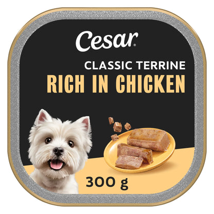 Wet Dog Food Garden Terrine With by Cesar at The British Vault