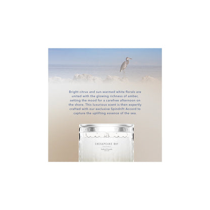 Salted Sands Small Candle 127g by CHESAPEAKE BAY at The British Vault