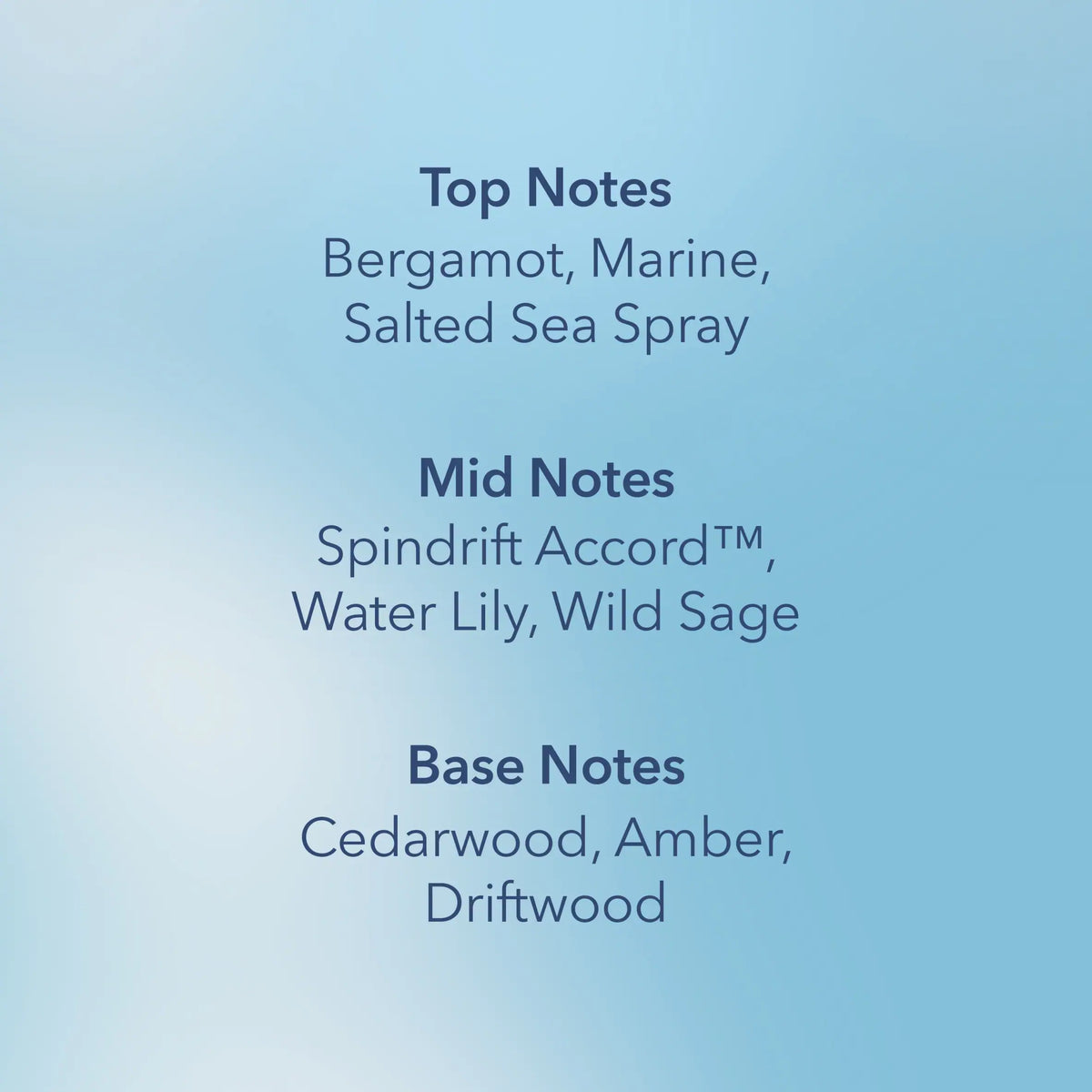 Serene Waters Large Candle 312g by CHESAPEAKE BAY at The British Vault