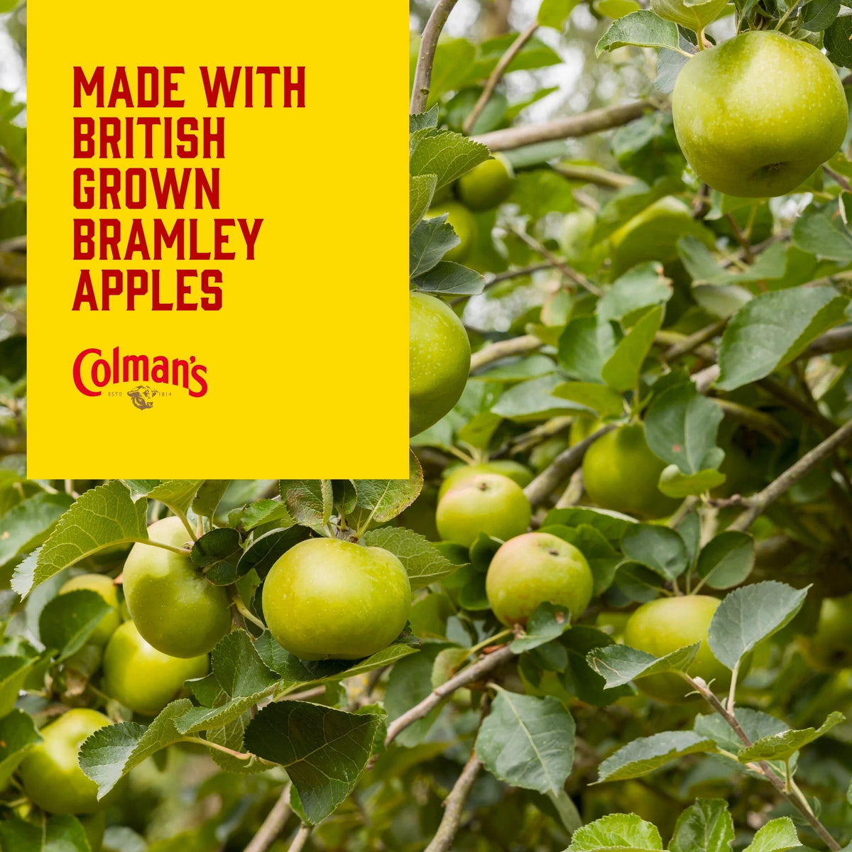 Colman's Bramley Apple Sauce 155g by COLMANS