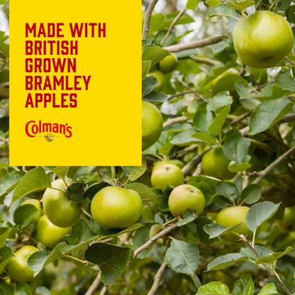 Colman's Bramley Apple Sauce 155g by COLMANS