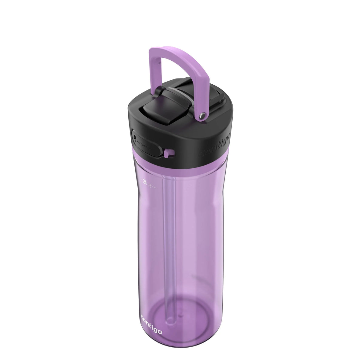 Ashland Lite 2.0 Pansy Water Bottle by contigo