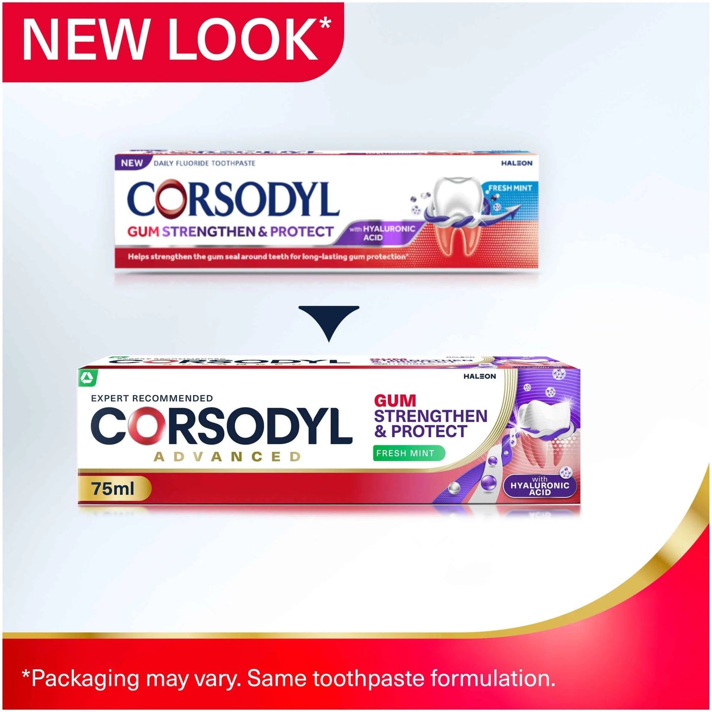 Gum Strengthen & Protect Toothpaste by CORSODYL