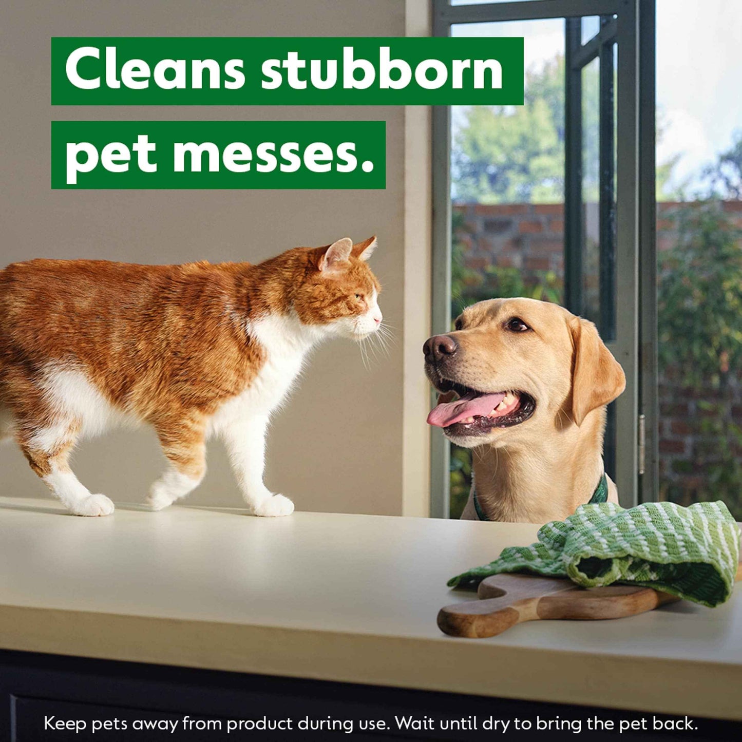 Homes With Pets Multipurpose Cleaner by Dettol