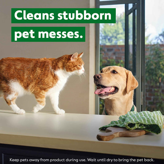 Homes With Pets Multipurpose Cleaner by Dettol