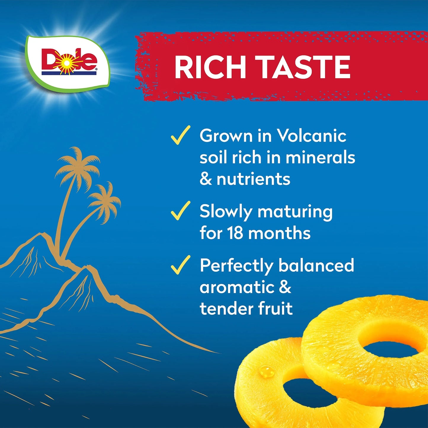 Gold Pineapple Slices In Juice 432g by Dole