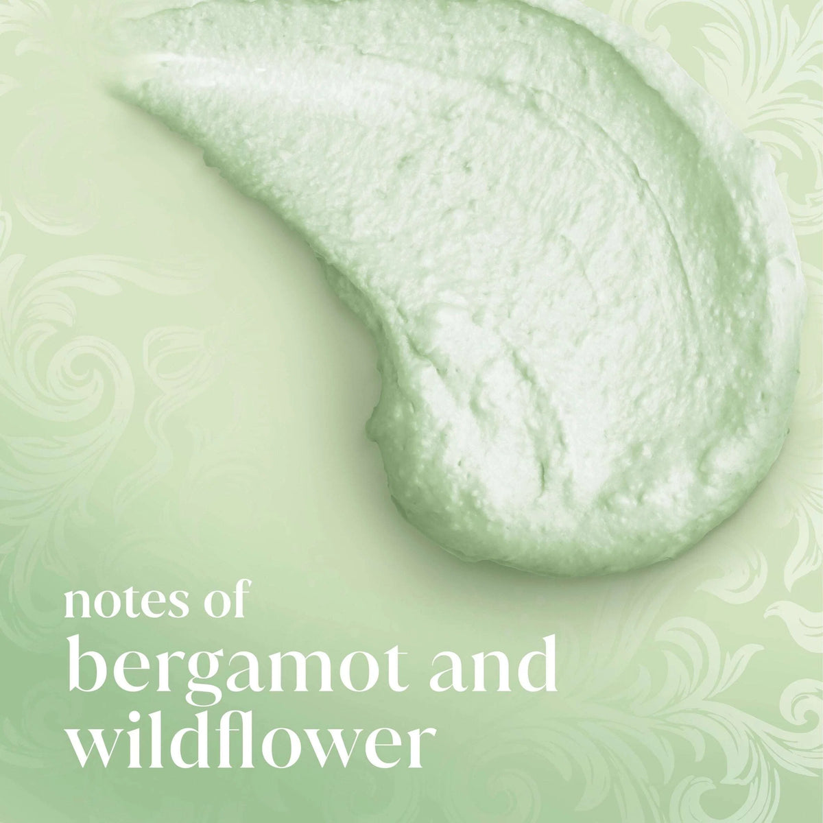 Limited Edition Bridgerton Love & by Dove