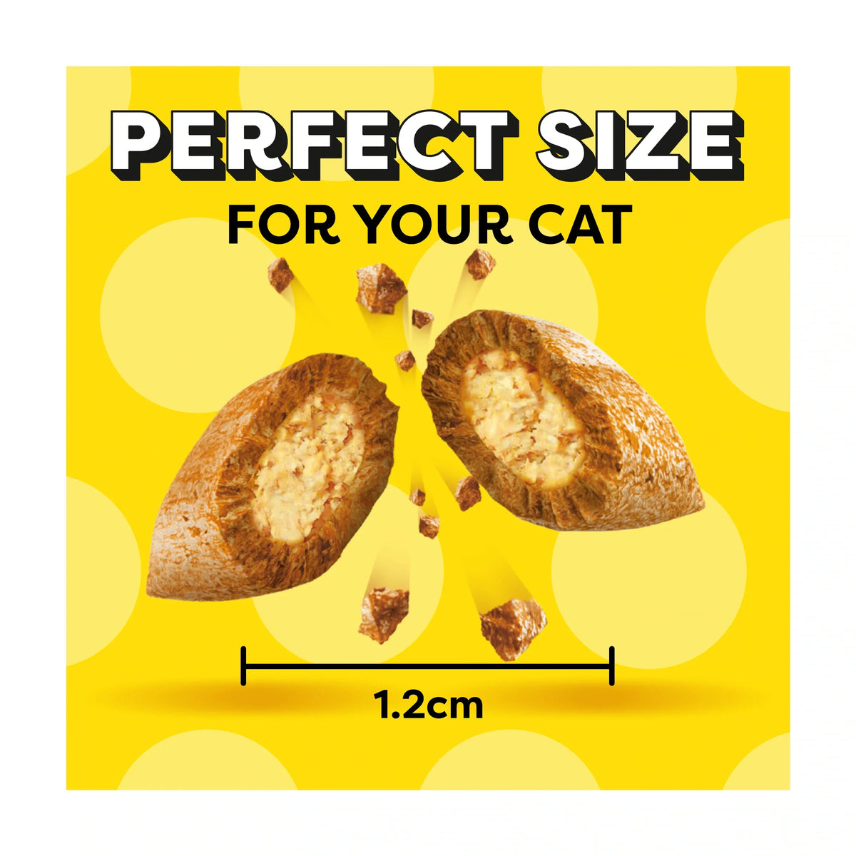 Cat Treat Biscuits With Salmon & by DREAMIES at The British Vault