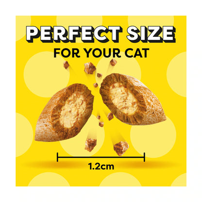 Cat Treat Biscuits With Salmon & by DREAMIES at The British Vault