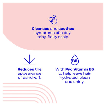 Dry Scalp Shampoo 200ml by E45 at The British Vault