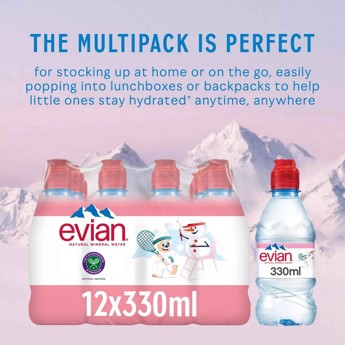 Natural Mineral Water 12x330ml by EVIAN