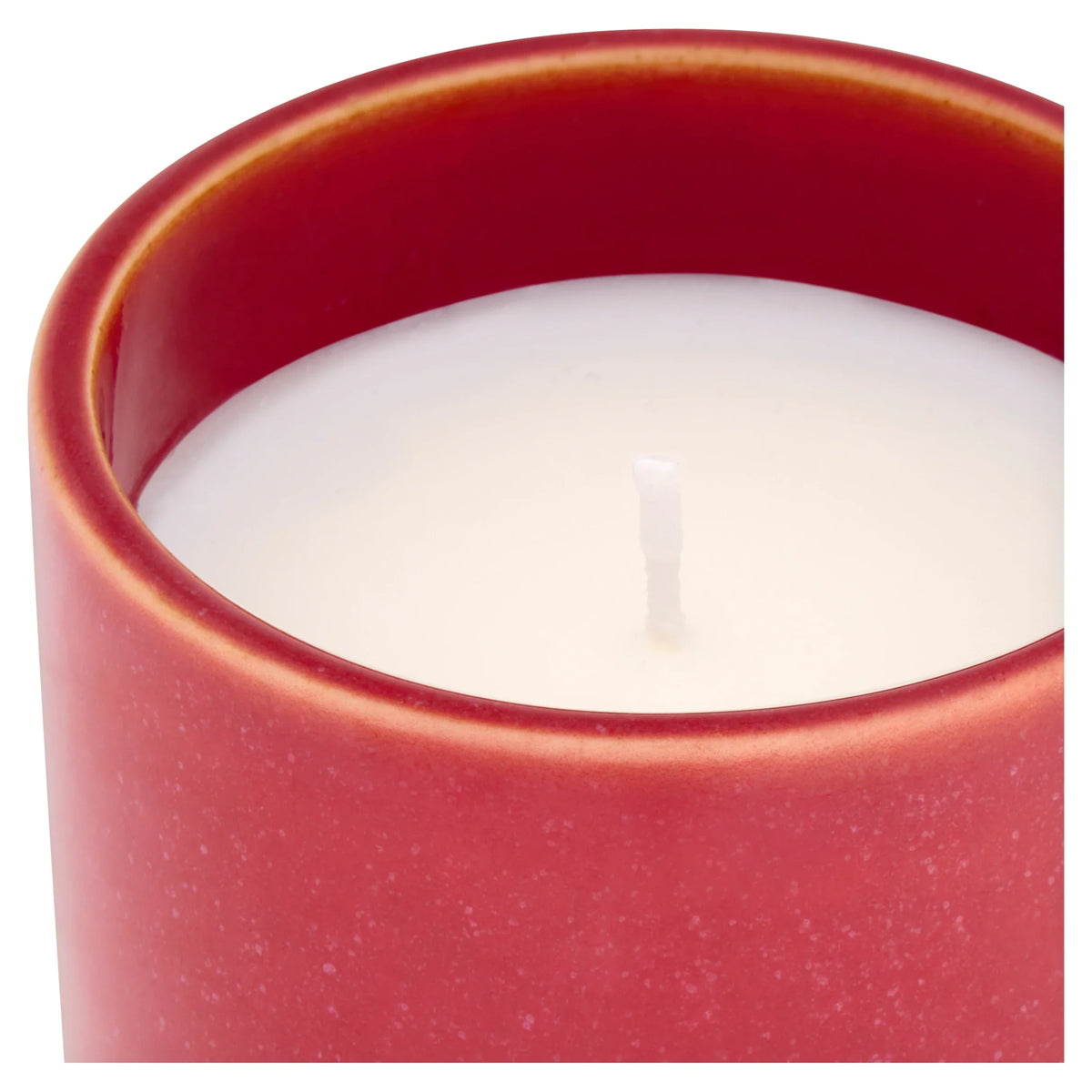 In The Garden Frosted Cranberry by F&F HOME at The British Vault