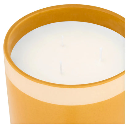 In The Garden Spiced Pear Large Candle 600g by F&F HOME