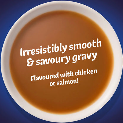 Gravy Time Chicken And Salmon Wet Cat by felix at The British Vault