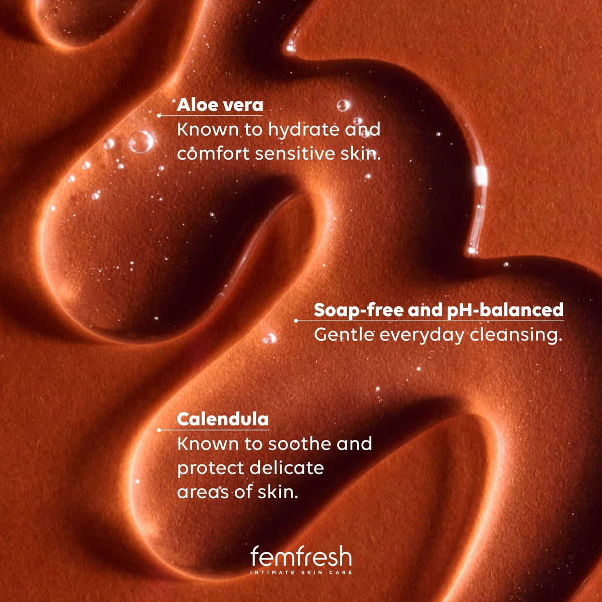 Daily Intimate Wash 250ml by FEMFRESH