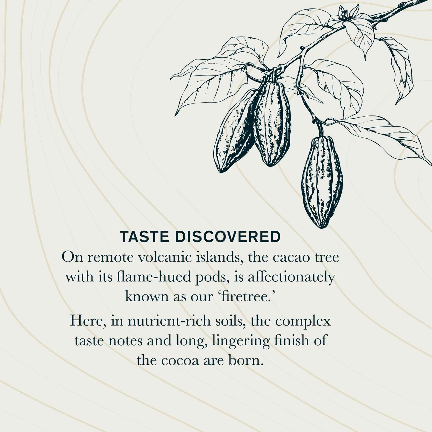 Rich Volcanic Chocolate 175g by firetree