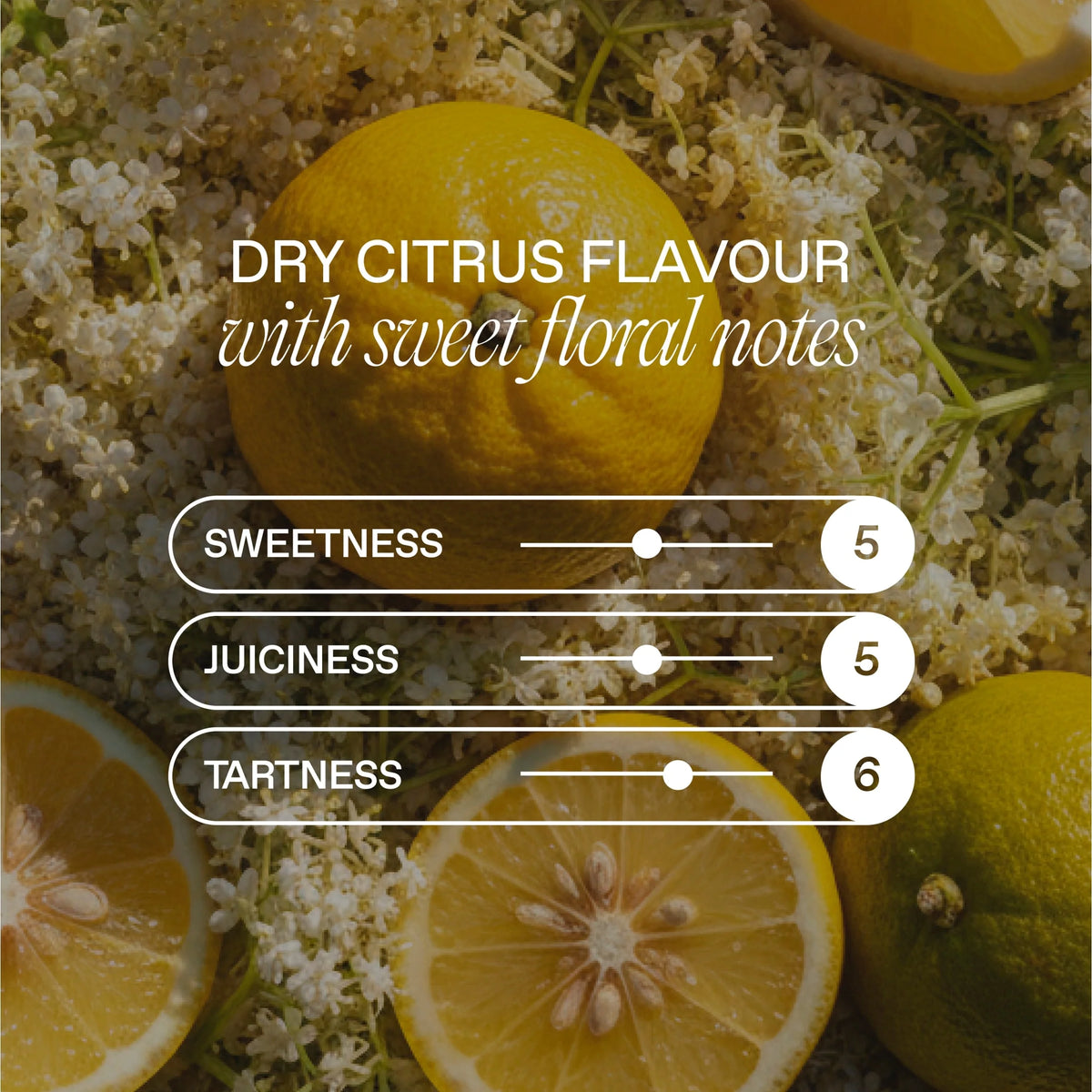 Cbd Elderflower & Yuzu Drink 4 X by GOODRAYS