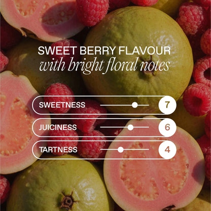 Cbd Raspberry & Guava Drink 4 X 330ml by GOODRAYS