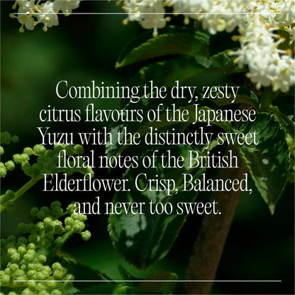 Natural Cbd Elderflower & Yuzu Drink 4 X 250ml by GOODRAYS