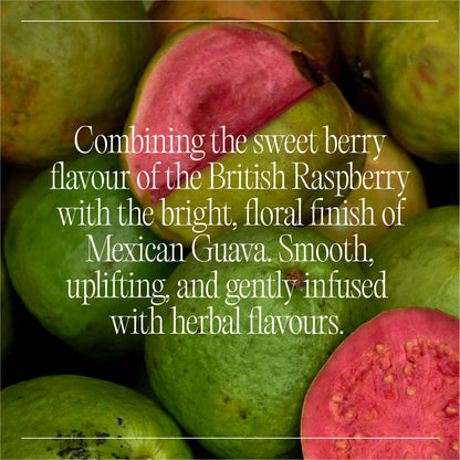 Natural Cbd Raspberry & Guava Drink by GOODRAYS