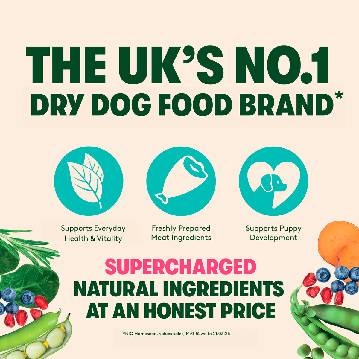 Grain Free Superfoods Chicken by HARRINGTONS at The British Vault
