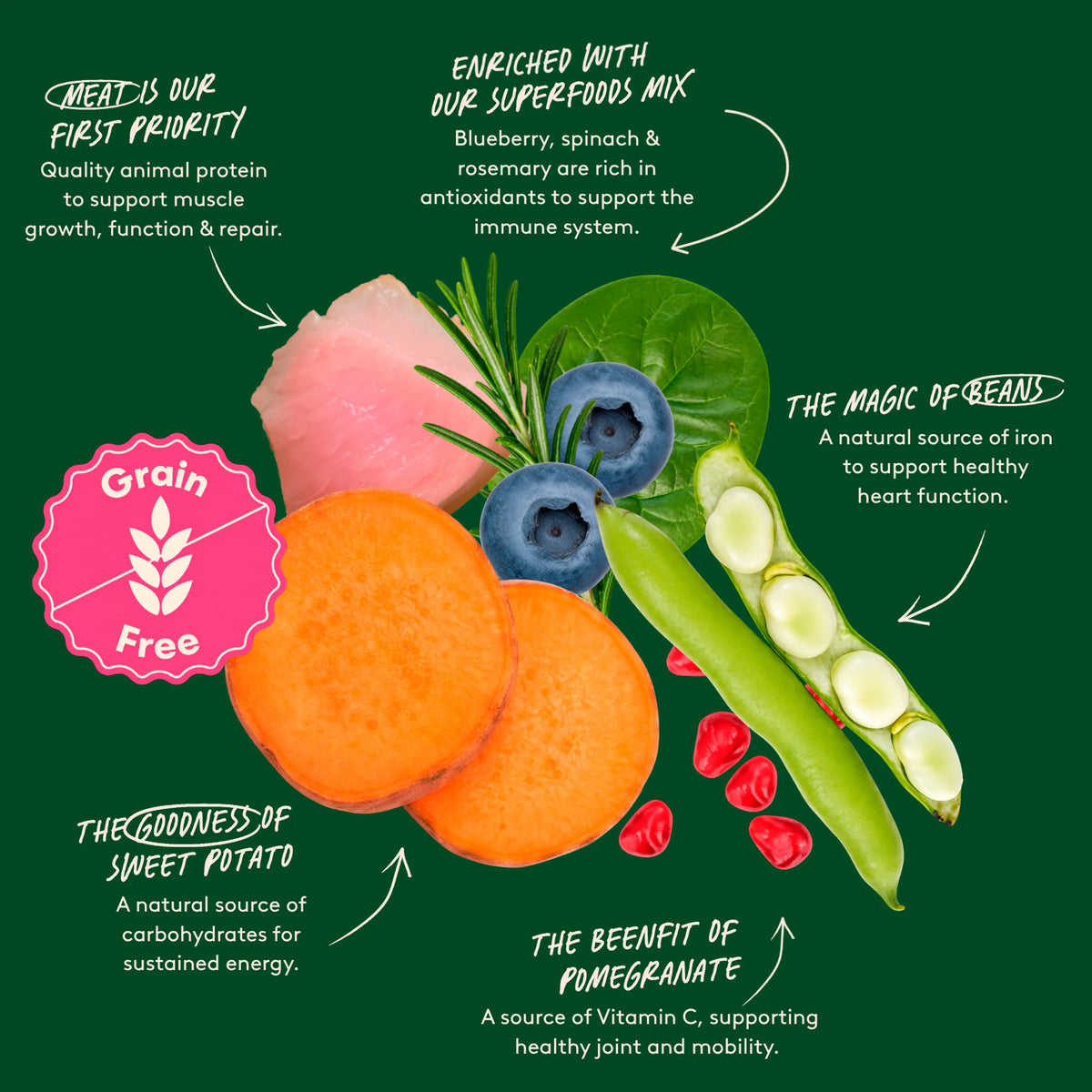 Grain Free Superfoods Chicken by HARRINGTONS at The British Vault