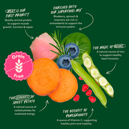 Grain Free Superfoods Chicken by HARRINGTONS at The British Vault