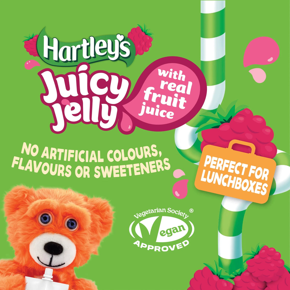 Raspberry Jelly Pouch Multipack by Hartley's
