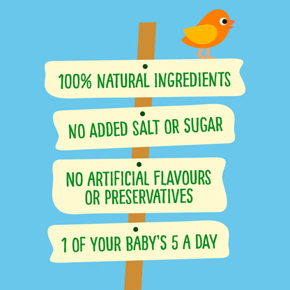 Beef & Sweet Potato Mash Baby Food Jar by HEINZ