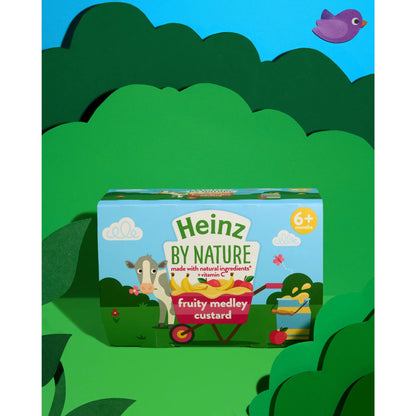 Fruity Medley Custard Baby Food Dessert Pots 4 X 100g by HEINZ