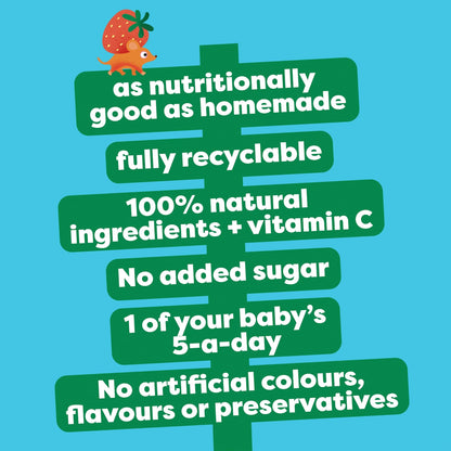 Strawberry, Raspberry & Banana Baby Food Fruit Puree Pouch by HEINZ