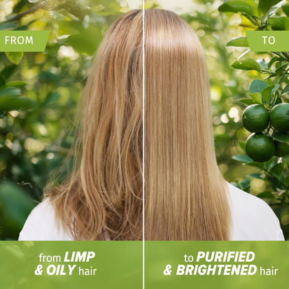 Clarify And Shine Lime Scent by HERBAL ESSENCES