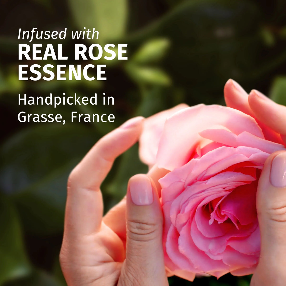 Petal Soft Rose Scent Leave In Conditioner 145ml by HERBAL ESSENCES