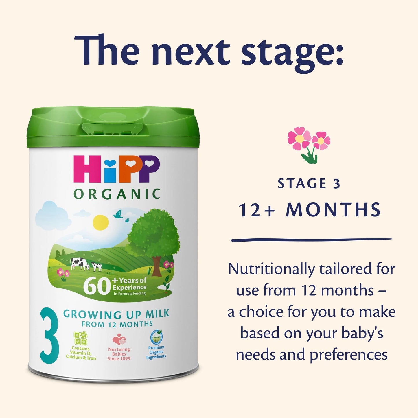 2 Follow On Baby Milk Powder by HIPP ORGANIC