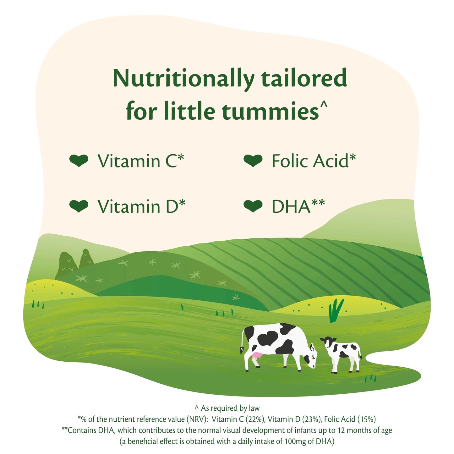 2 Follow On Baby Milk Powder by HIPP ORGANIC