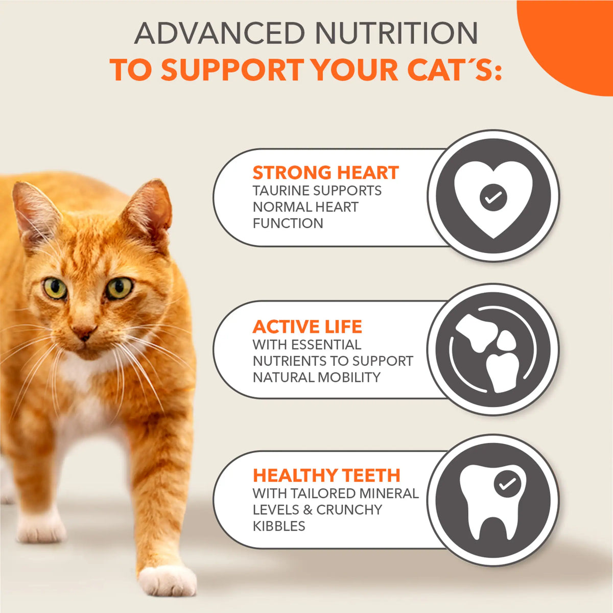 7+ Years Cat Food With Tuna 800g by IAMS at The British Vault