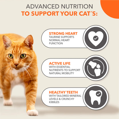7+ Years Cat Food With Tuna 800g by IAMS at The British Vault