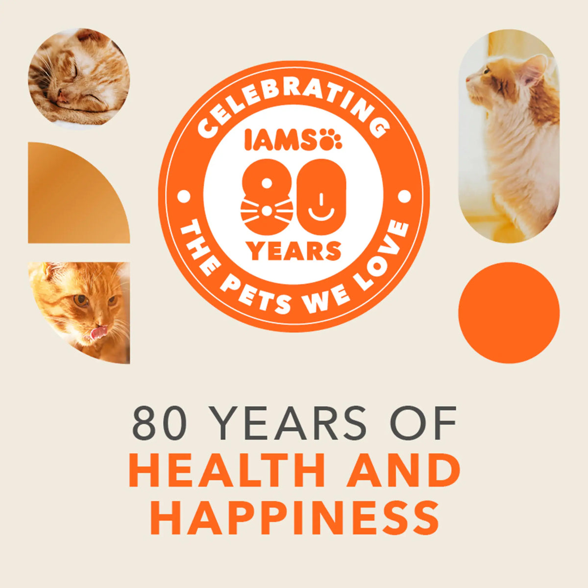 Advanced Nutrition Senior +7 Cat Dry by IAMS at The British Vault