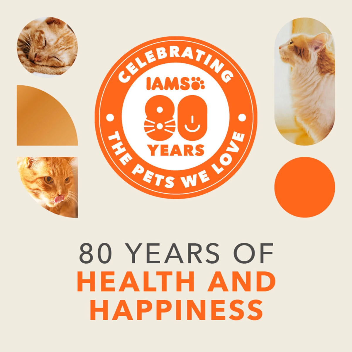 Cat Food Adult Chicken 3kg by IAMS at The British Vault