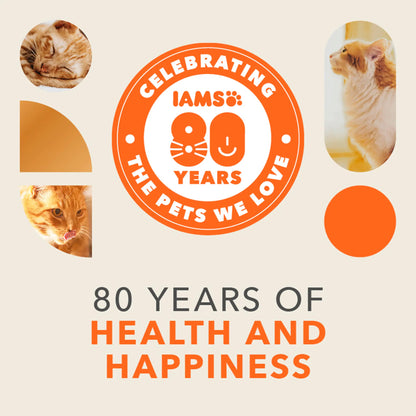 Senior 11+ Dry Cat Food Chicken 800g by IAMS at The British Vault