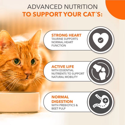 Senior 11+ Dry Cat Food Chicken 800g by IAMS at The British Vault