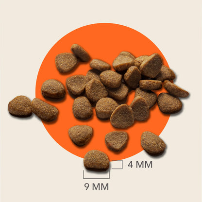 Senior 11+ Dry Cat Food Chicken 800g by IAMS at The British Vault