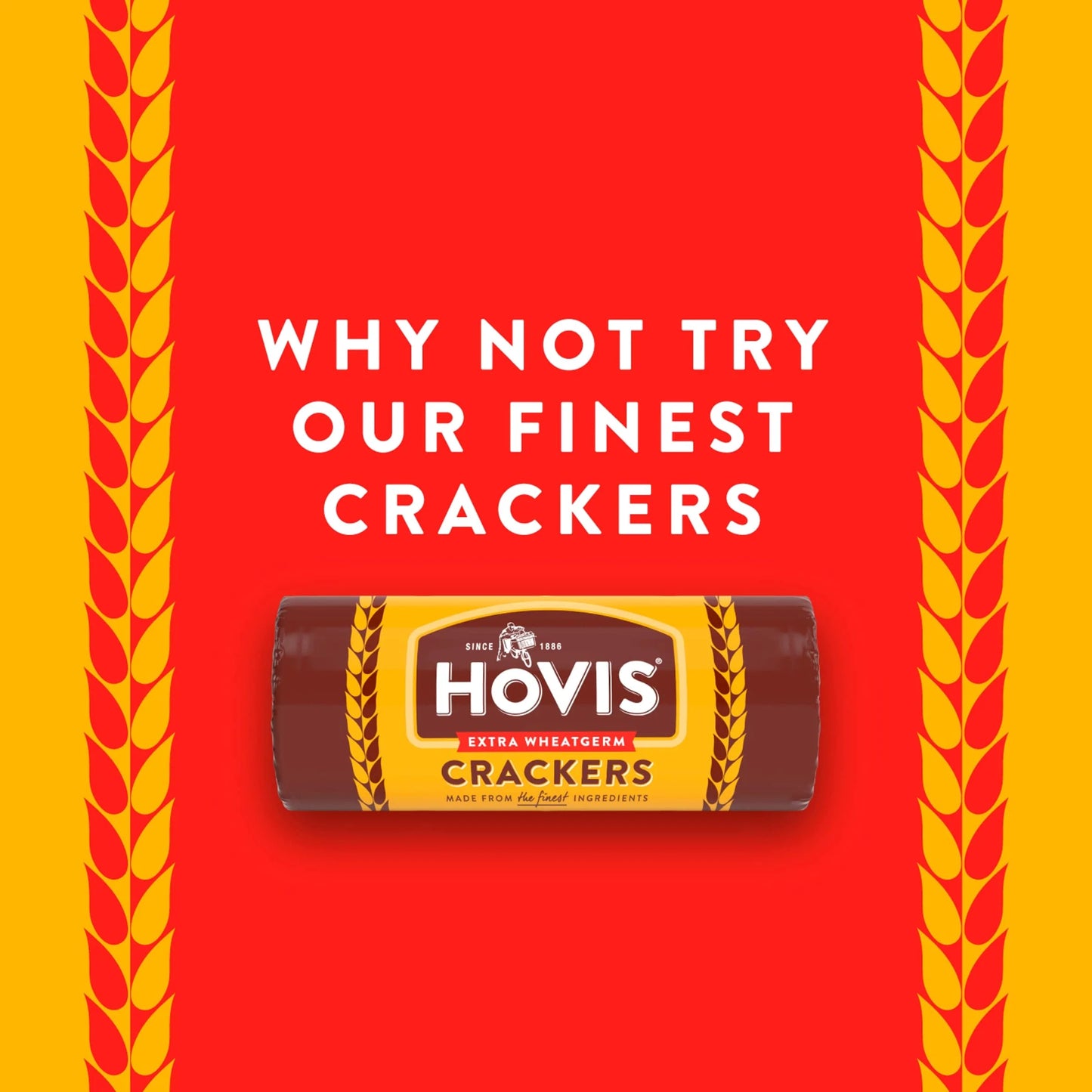 Hovis Digestives Biscuits 250g by JACOB'S