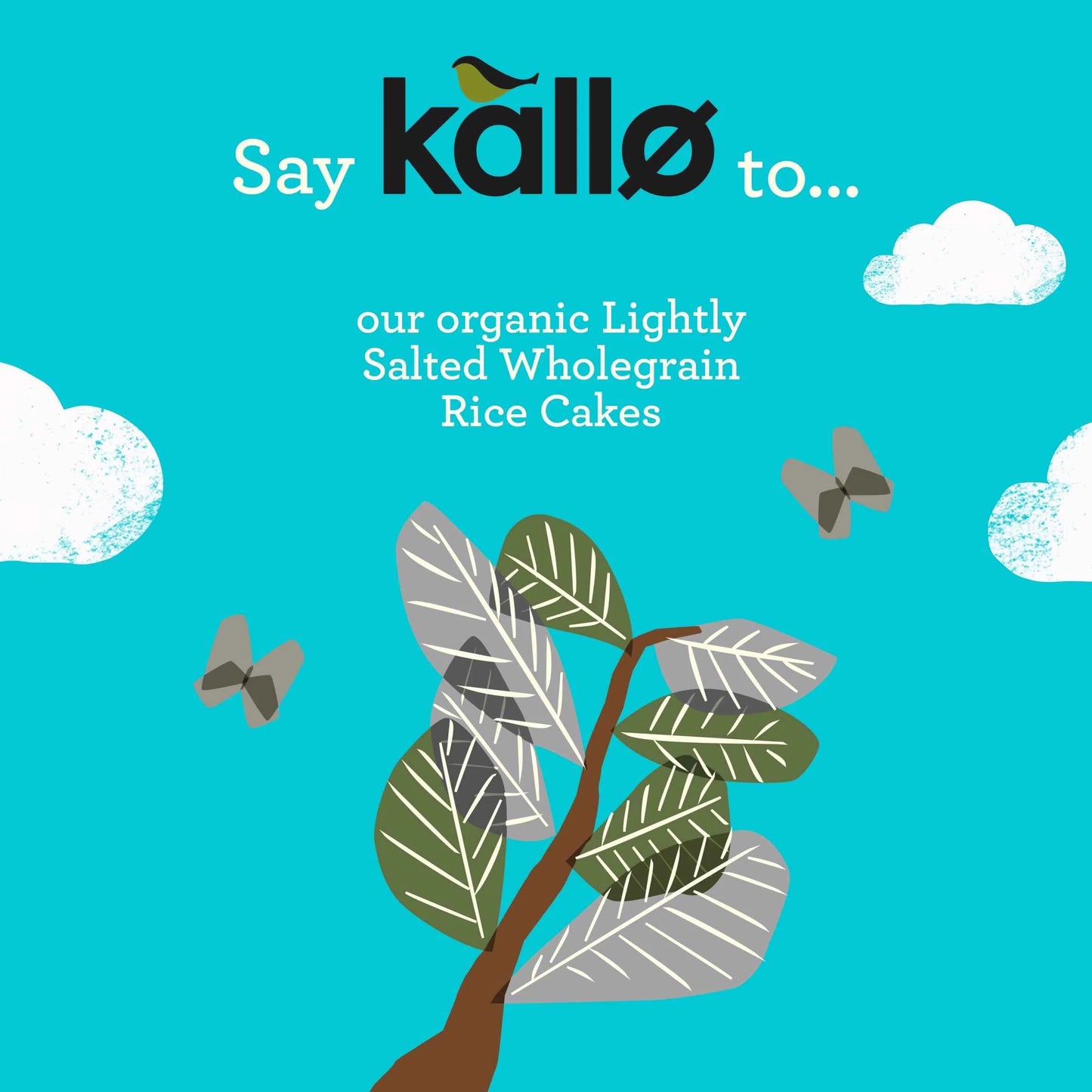 Organic Lightly Salted Wholegrain Rice by kallo